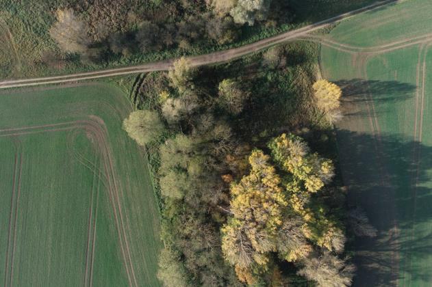 Nauen, UAV Geländeaufmaß für Photovoltaikanlage